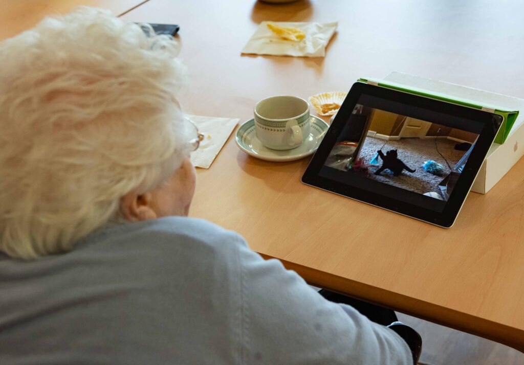 A woman watching a cat video on a tablet